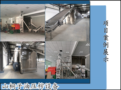 黃金樹”榨出“黃金油”，河南國瑞新一代山桐子油壓榨設(shè)備實現(xiàn)行業(yè)創(chuàng)舉！