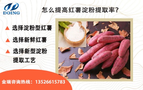 紅薯出淀粉率是多少？怎么提高紅薯出淀粉率？