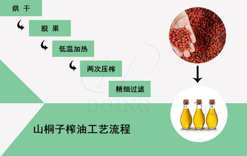 山桐子怎么榨油,山桐子油加工過程你了解多少?