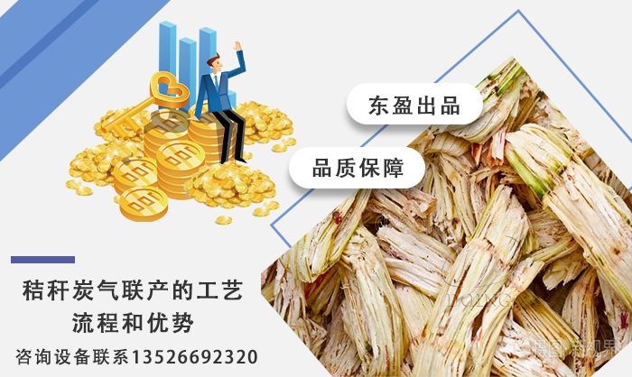 炭氣聯(lián)產(chǎn)