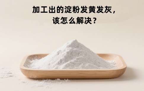 加工出的紅薯淀粉發(fā)黃、發(fā)灰？該怎么解決？