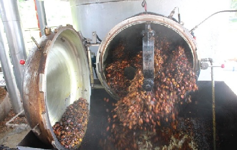 再下訂單！尼日利亞棕櫚油產(chǎn)線(xiàn)老客戶(hù)升級(jí)蒸汽殺酵罐！